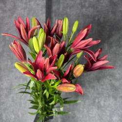 5 красных лилий