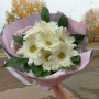 7 белых гербер